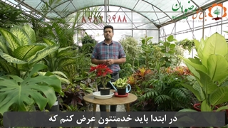 خاک مورد نیاز برای گیاهان آپارتمانی 2