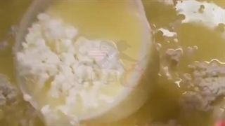 ساخت صفر تا صد پنیر پاستوریزه شده با آنی حامی Ani Hami