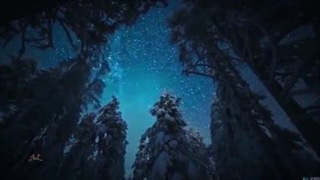 اصلا فایده ی دین و دیندار بودن تو چیه؟