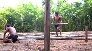 ساخت خانه در جنگل