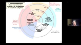 Systemic Risk - Parralel Session 1