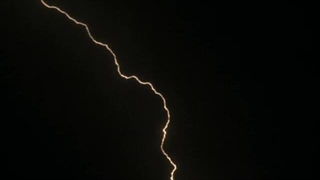 هوای بارانی جنگل 1