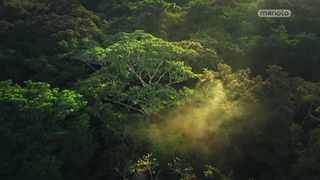 سیاره سبز ؛ 2022 ؛ فصل 1 ؛ قسمت 1