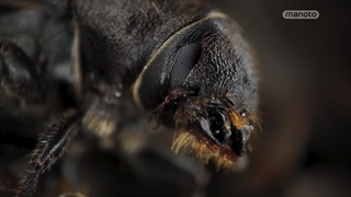 سیاره سبز ؛ 2022 ؛ فصل 1 ؛ قسمت 5