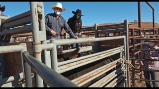 Jackass Forever - Final Trailer