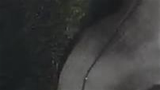 کلاغا خبر آوردن/=......my biography