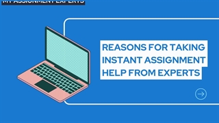 Reasons for Taking Instant Assignment Help from Experts