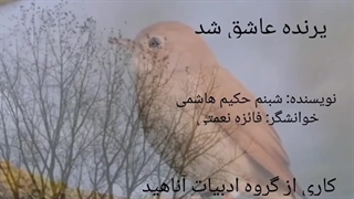 پرنده عاشق شد...  نویسنده: شبنم حکیم هاشمی، خوانشگر: فائزه نعمتی... کاری از گروه ادبیات آناهید