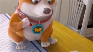 مسابقه تیک تاک