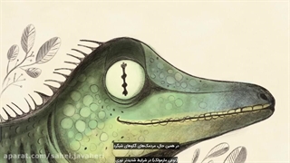 چرا چشم های گربه ها عمودی است؟