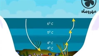رفتار غیر عادی آب