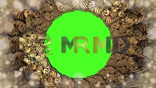 فوتیج پرده سبز اسلایدشو عروسی با قاب طلایی