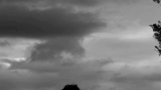 تو کانالم عضو بشید دیگ.       https://rubika.ir/mojtTok