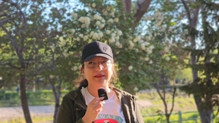 نحوه افزایش فالوور تیک تاک به صورت طبیعی