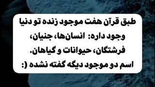 بسم گاددددد