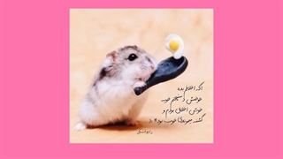 زنگ تفریح! ... اخلاق خوب یا دستپخت خوب؟!