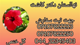 فروش گل ختمی پروتز سینه