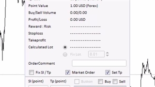 مدیریت سرمایه در فارکس | پریسا نصر
