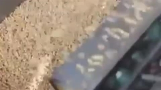 بادام زمینی پوستگیربادام زمینی سفیدکن