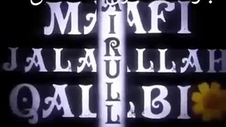 ست شد برادران و خواهران :)