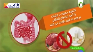 منابع تامین ریزمغذی ها