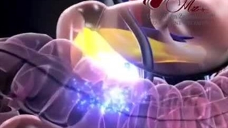 پس از ورود انسولین به بدن چه اتفاقی می افتد؟