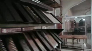 سنتور سرای صادقی | تولید کننده تخصصی انواع سنتور مبتدی و حرفه ای