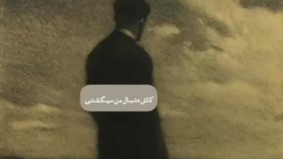 همون جوری که من دوست داشتم