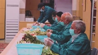 گل‌های ضریح نورانی امام رضا(ع) هدایایی ارزشمند به زائران