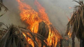 ببینید | آتش‌سوزی مهیب و گسترده در کانادا!