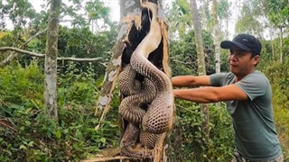 چیز های عجیبی که احتمالا برای اولین بار در زندگی می بینید