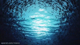 مناجات | «با نوای سید مجید بنی فاطمه»