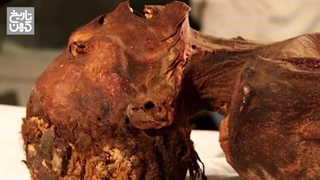 کشف راز فریادهای مومیایی باستان!