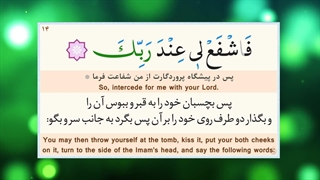 زیارت مختصر امام رضا علیه السلام - حاج میثم مطیعی
