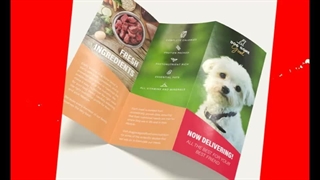 اهمیت چاپ کاتالوگ در چیست؟