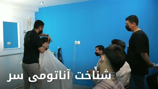 آموزش فید مو در اصفهان