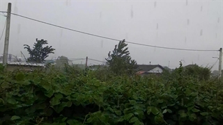 تگرگ و بارون وحشتناک.همین الان در گیلان⊙_⊙ البته صد هزار مرتبه شکر که خشکسالی نیست