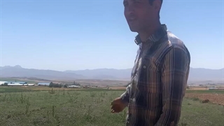 هایار طب سایت خرید و فروش گیاهان دارویی، دمنوش و عرقیات گیاهی