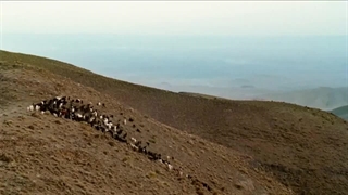 تیزر فیلم بابل - Babel با بازی برد پیت