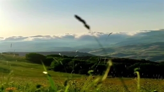 رسم صدای پای تو...خواب است و بیدارش کند