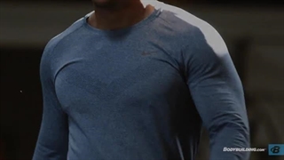 بخش ورزشکاری برنامه فیزیک مدرن ۸ هفته‌ای عضله سازی استیو کوک The Modern Physique