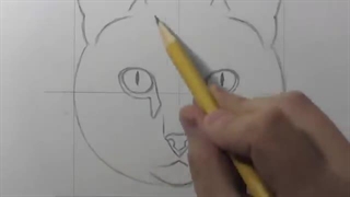 نحوه نقاشی گربه