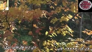 حس لطیف شاعر آذربایجانی | غزلیات شیرین طالب | آوای عاشقی طالب