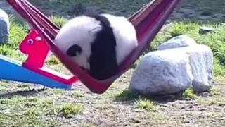 طنزجو: کانال شوخی و سرگرمی _ Joke _ Entertainment _ Recreation _ Laugh _ Smile _ کلیپ شماره: 10 :