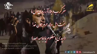 سفر کرب و بلا، آرزوی دل ما | حاج امیر عباسی