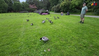 مهاجرت به استرالیا و نکات آن