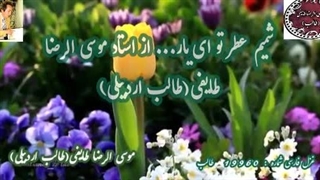 شاعر آذربایجان | غزلیات شیرین طالب | آوای عاشقی شاعر. | شمیم عطر تو از غزلیات طالب