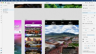 آموزش ادوبی اکس دی برای طراحان - گرافیسم