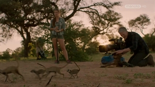 حیوانات فیلم‌بردار ؛ 2018 ؛ فصل 1 ؛ قسمت 1