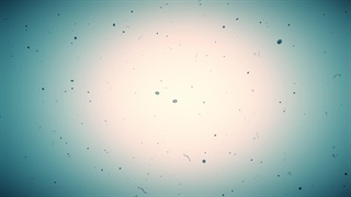 ذرات میکرو الکترونیک(دکتر افشین رشید) کلینیک دندانپزشکی